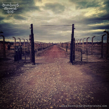 Auschwitz Birkenau - 